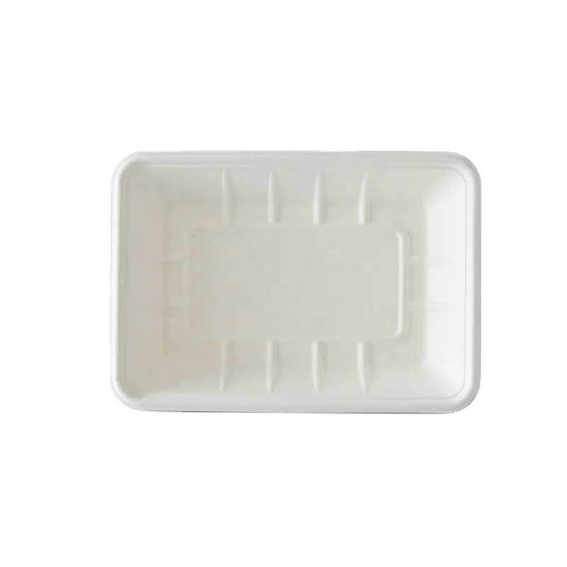 PFAS Free Disposable Sugarcane  rectangle  plant Sugarcane Bagasse Tableware Vegetable Fruit Meat Packaging Plate Tray T4