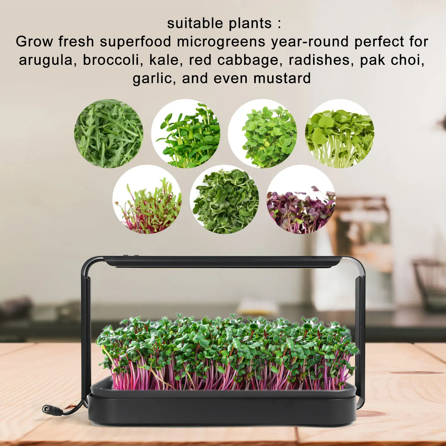 mini smart growing system kit grow hydroponic indoor garden grow