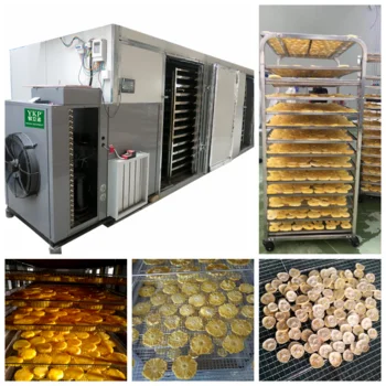 Coconut sugar drying oven fruit processing dryer machine