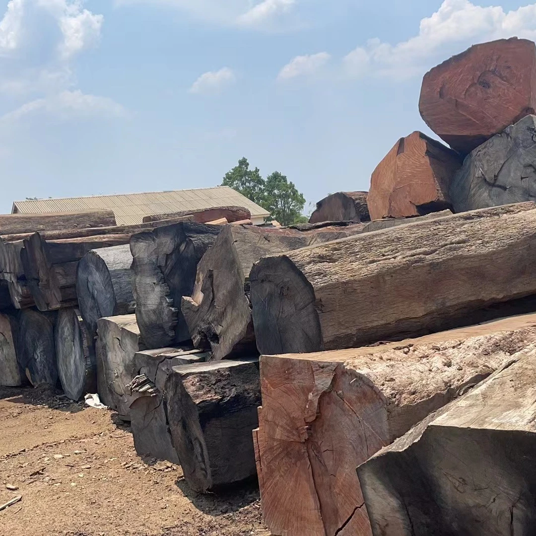 Большая древесина для продажи Mussibi/musиздавское круглое дерево из Замбии, высокое качество по низкой цене