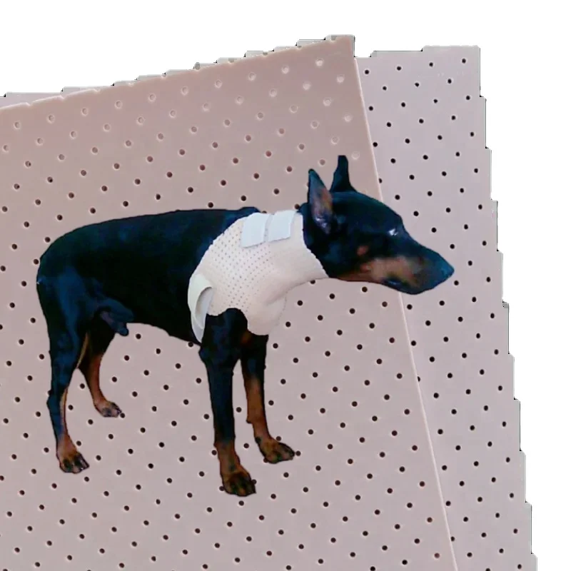 Low Temperature Thermoplastic Splinting Solutions Pet Dog Cat Leg Fracture Rehabilitation Orthopedics Cervical Collar