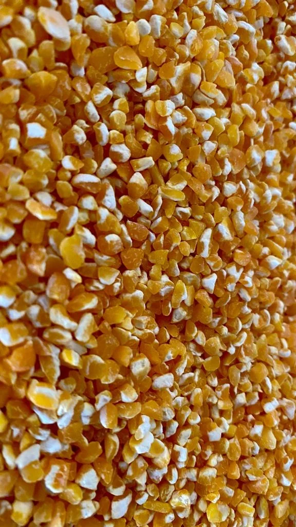 
best quality yellow corn broken for wholesale 