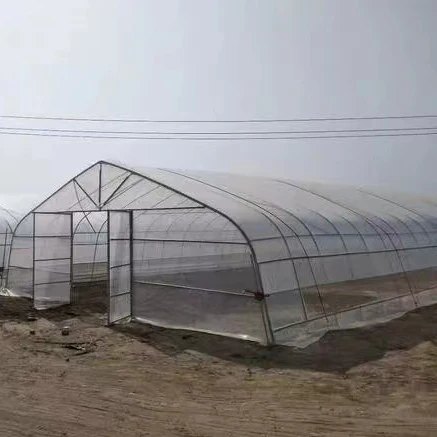 Good Quality And Easily Installed Agricultural/Commercial Green House Greenhouse