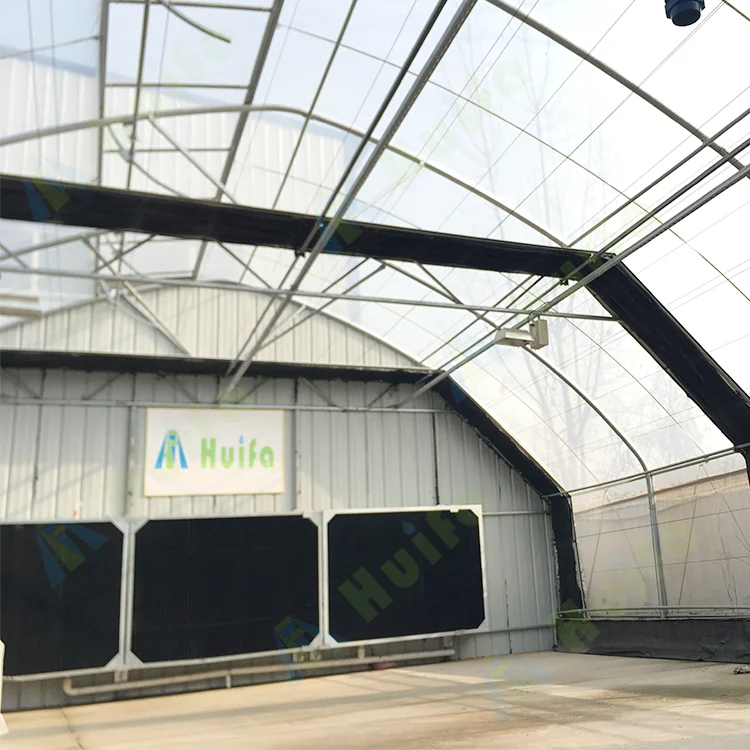 Medical Planting Hemp Agricultural Greenhouse with Blackout Curtain