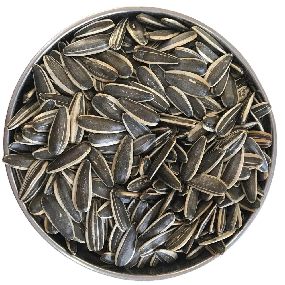 Chinese sunflower seeds 363