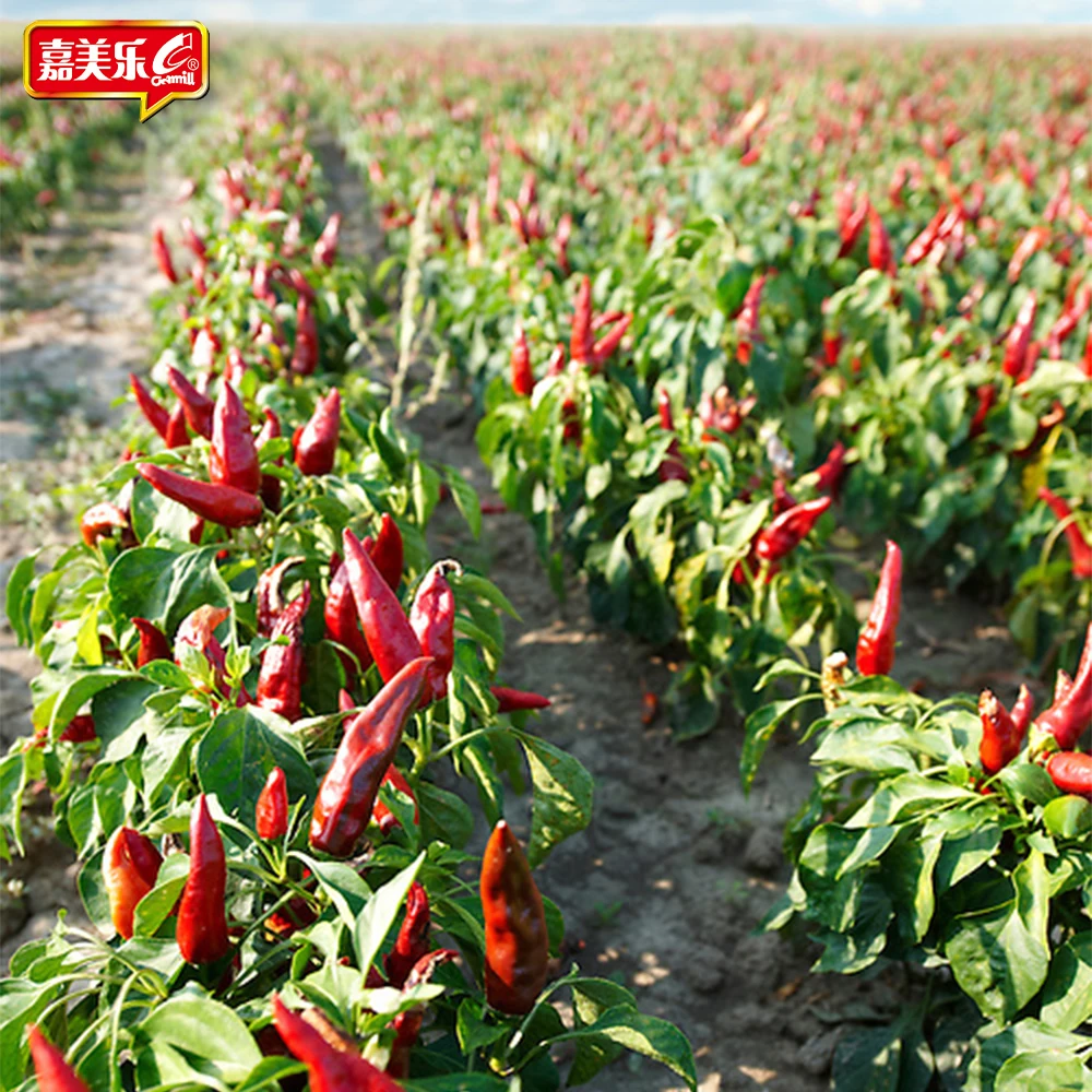 OEM Factory Price Bulk Wholesale Price Cooking Season thick spicy Sweet Chili Sauce