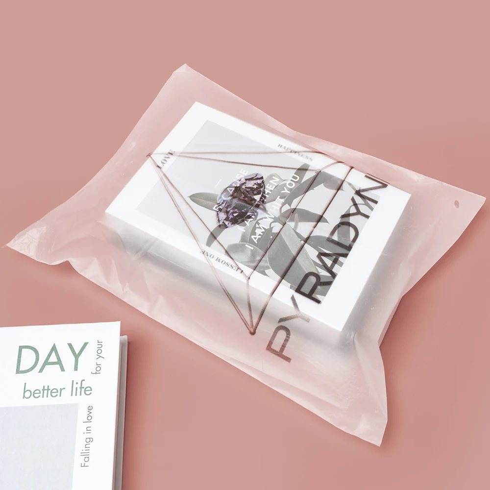 High Quality Hot Sale Zip Lock Bag Custom Design Recyclable Frosted and Transparent Bags With Logo