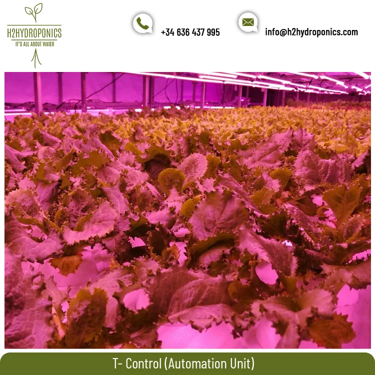 
Trusted Supplier of Multi Sensor Made Genuine Quality T-Control Hydroponic Equipment on Hot Sale 