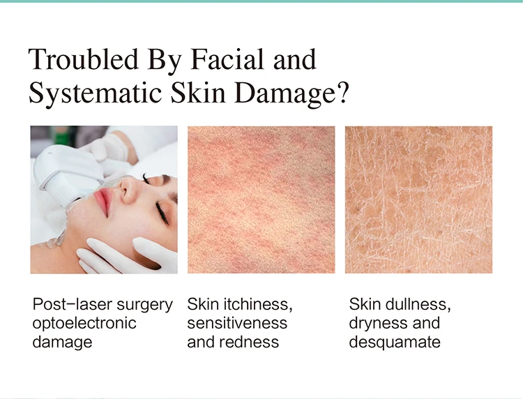 OEM/ODM 100% Natural Organic Face Cream Deep Moisturizing Facial Anti Wrinkle Nourishing Aging Face Cream Collagen Cream