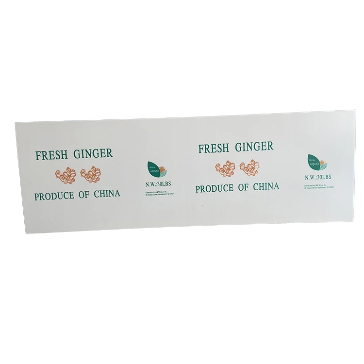 PP Plastic Packaging Box Customized Size and Logo pp Hollow Sheet Folded Boxes