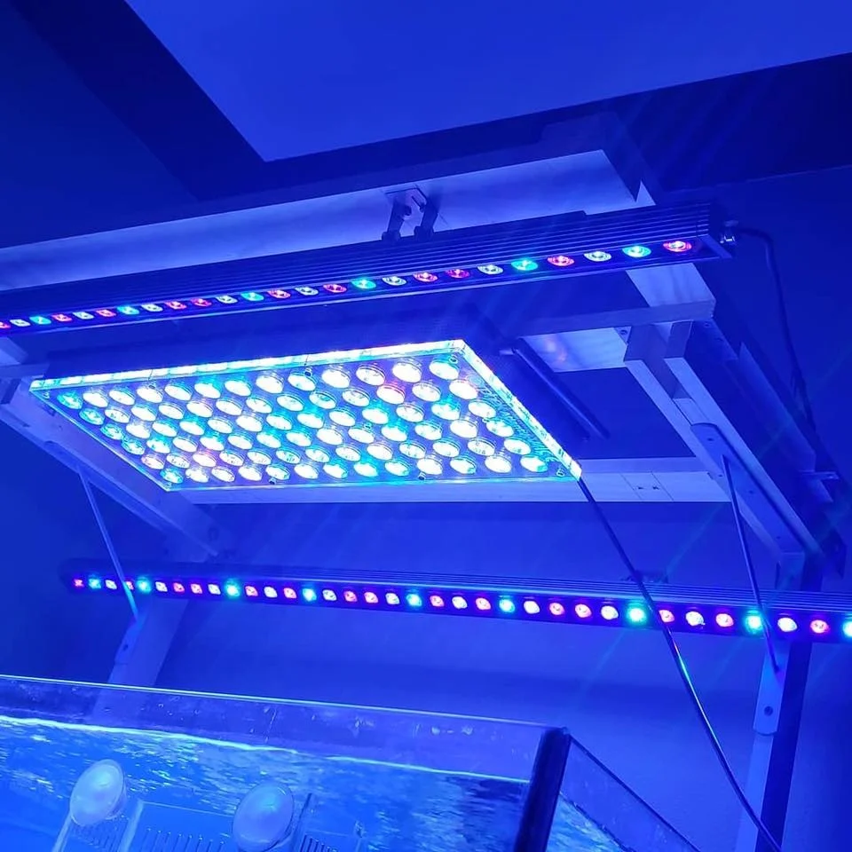  For SPS / LPS Coral Reef Plants Growth LED Aquarium Lighting Bars Dual Chip 60/90/120/150cm IP65 Marine Croal Bar for Fish