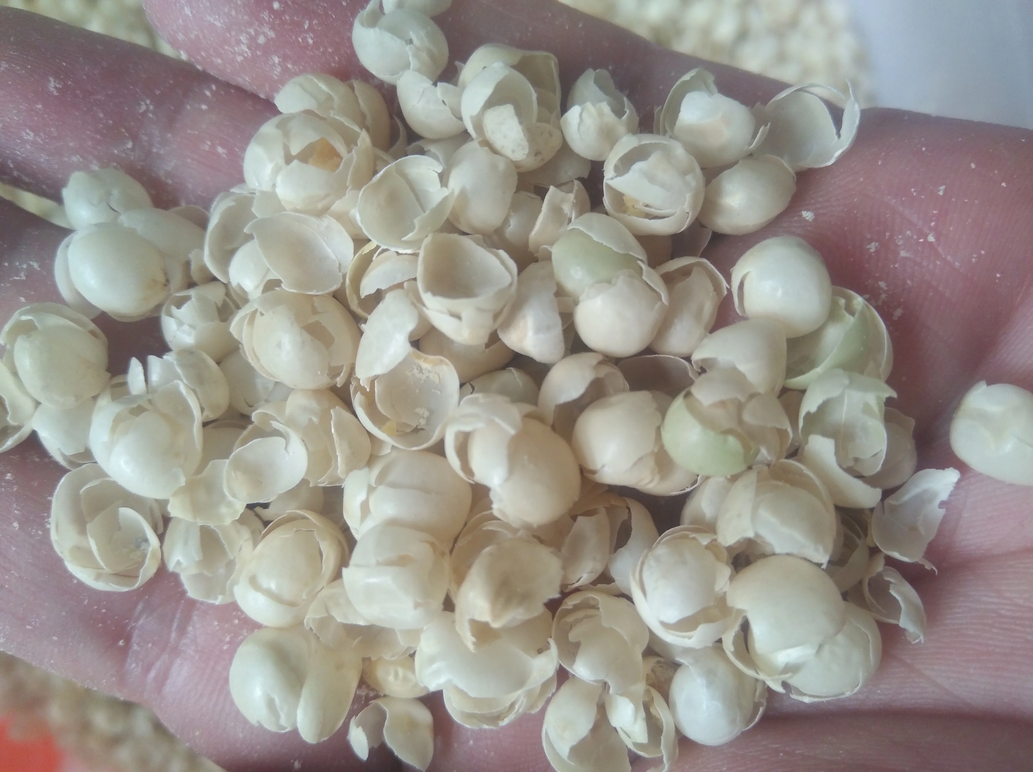 Машина для очистки фасоли, машина для очистки фасоли, чечевицы, мунг, голубь, Горох, желтый горох, машина для очистки овощей, 500 кг/час