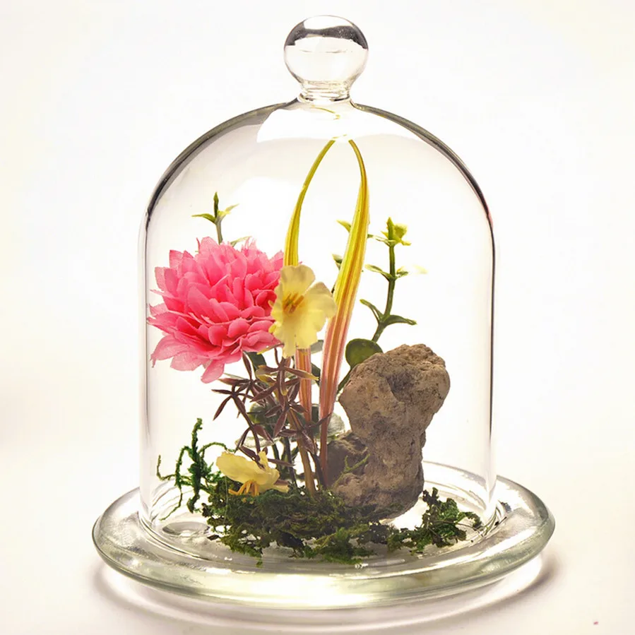 Wholesale Borosilicate Terrarium Clear Hand Blown Dust proof Glass Oval Bell Jar Cloche Glass Dome Cover with wood base