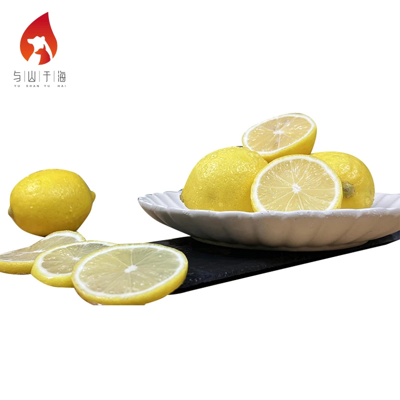 Health Sour And Cool Fresh Yellow Lemons Fruit Fresh Lemon For Sale