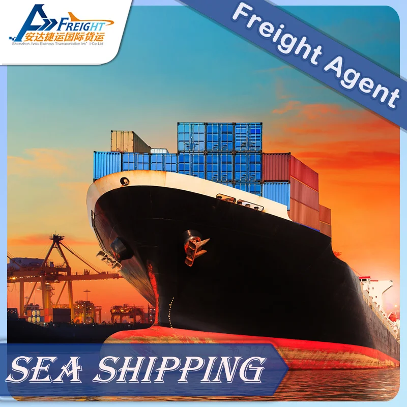Reliable Sea Shipping Agent for Shenzhen to Estonia Logistic Forwarder Sea Shipping