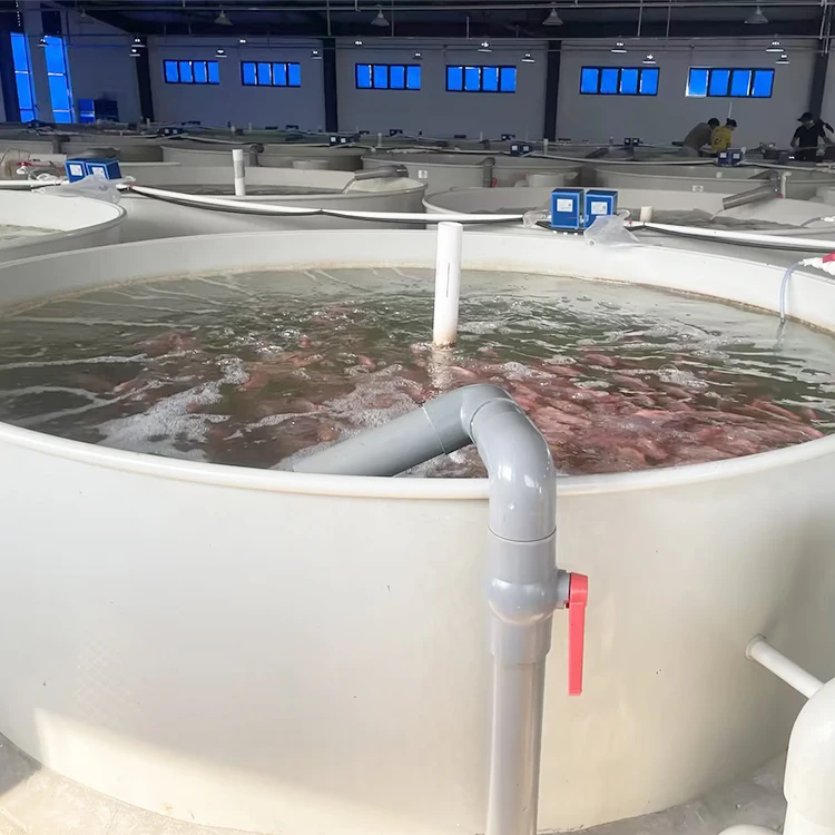 large big plastic circular round fish farm tank industrial large pp plastic aquaculture indoor fish farming water tanks