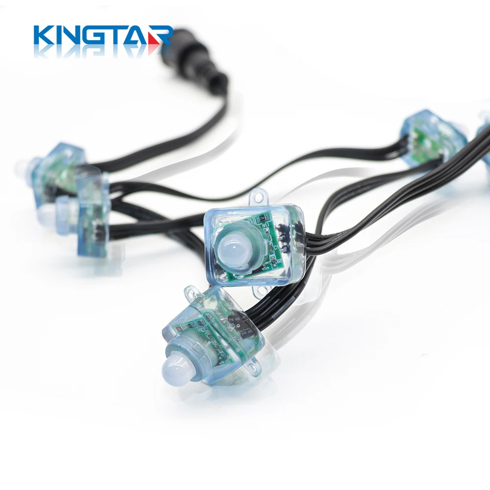Christmas Pixel Point String Light WS2811 0.3W/0.6W/pcs 12mm Square LED Decorations IP68 Landscape Lighting