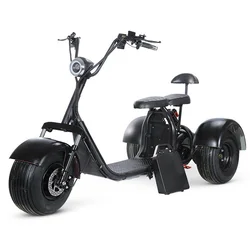 3 wheel electric scooter electric tricycle 2000W 60V oil brake city adult motorized tricycles