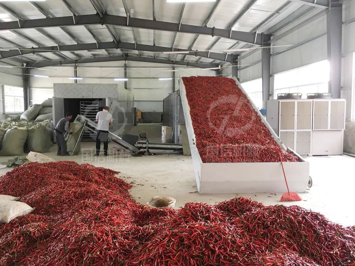 
Myrcia dryer used for bay leaves drying bay leaf seeds drying 
