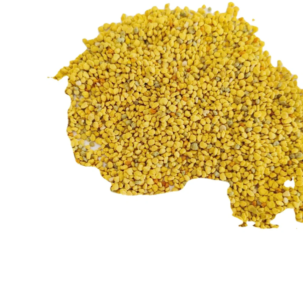 organic natural rapeseed flower bee pollen / wholesale bee pollen / wholesale bulk bee pollen