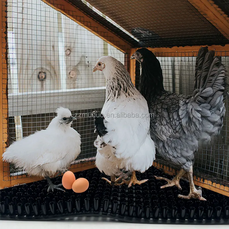 nest pad (1)