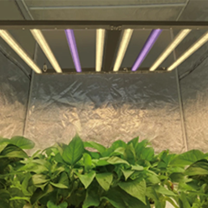 Hot Sale Fold Grow Lights 3000K 5000K White Diode 660Nm Red Full Spectrum Lm301 New Detachable Led Grow Light For Medical Plants