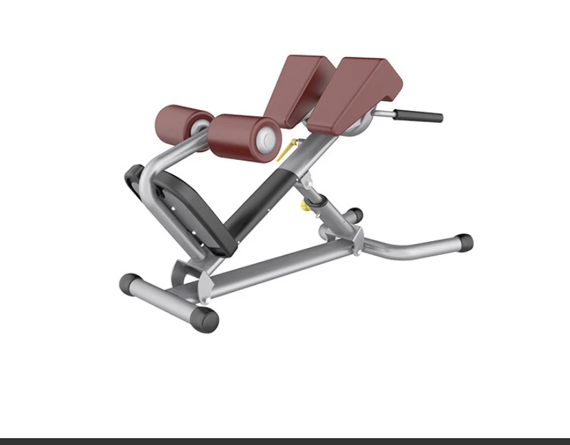 
professional fitness equipment gym exercise machine Back Extension/roman Chair 