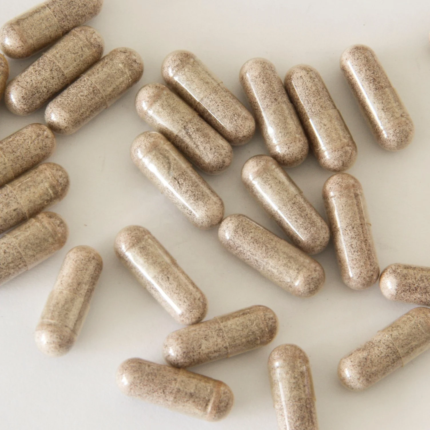 panax ginseng capsules for energy