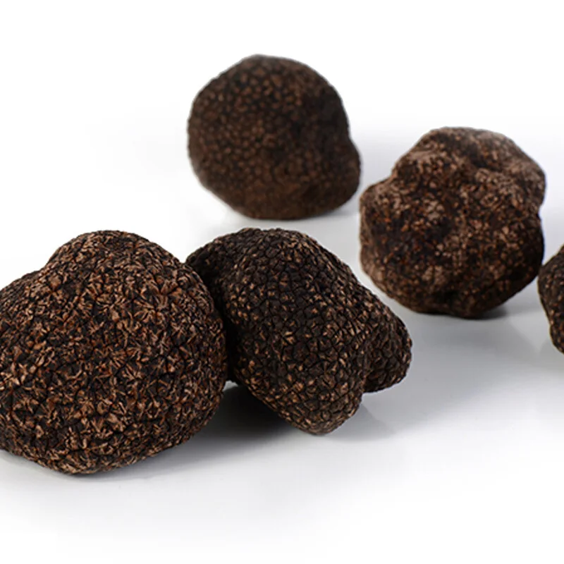 
Market price masroom fresh shitake truffle maitake grow Fungus mushroom 