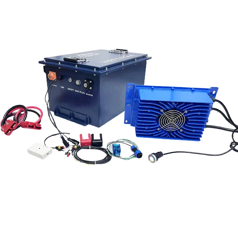 Bluetooth Bms 48 Volt Lifepo4 Battery 48v 72v 72ah 100ah 200ah 300ah Lithium Golf Cart Battery With Lcd Display