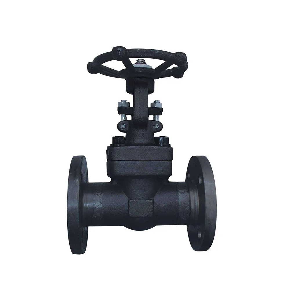 API602 high pressure forged steel F316 NACE MR0175  standard 600LBS 2inch  flange swing check valve