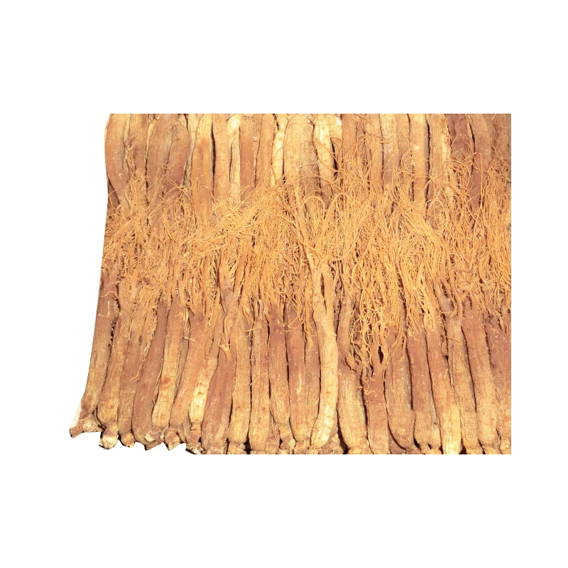 
100%natural Korean RED GINSENG ROOT WITH TAILS/Ginseng root extract 