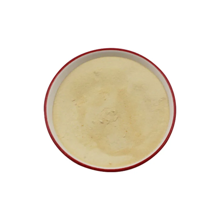 High Quality Food Grade ISO22000 HACCP Certificate  Probiotic Powder Streptococcus Thermophilus