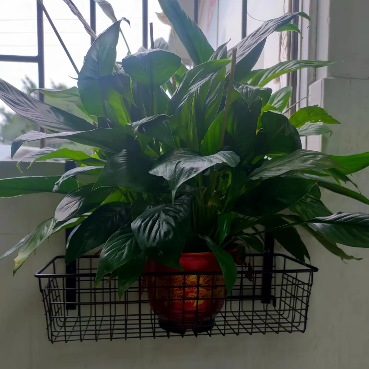 Modern Display Rack Iron Balcony Unique Designs Metal Hanging Plant Stand Balcony Flowerpot Rack