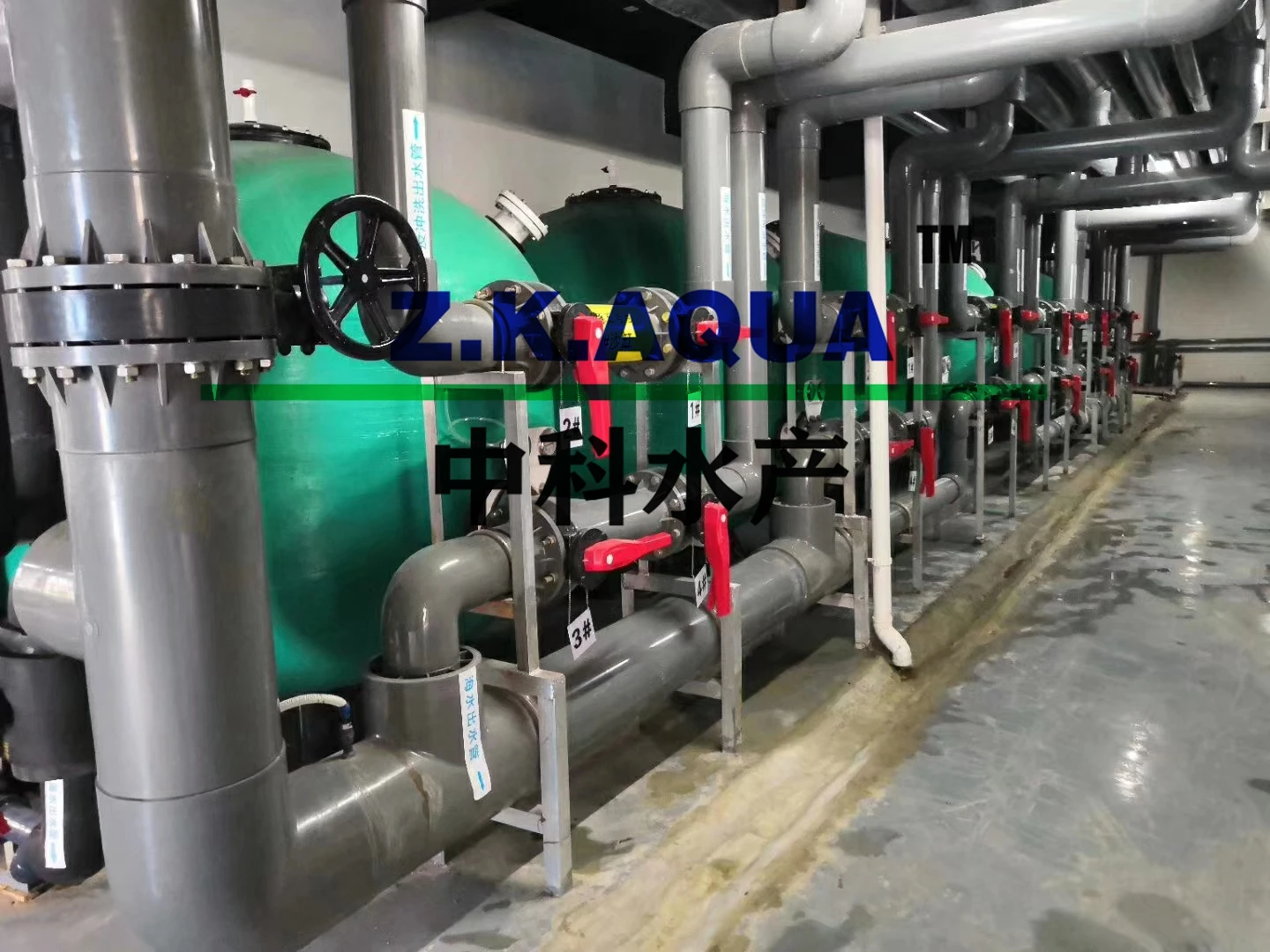 ras aquaculture fish farm system