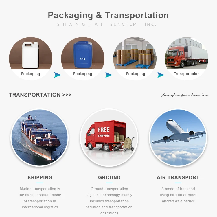 7Company Information.jpg