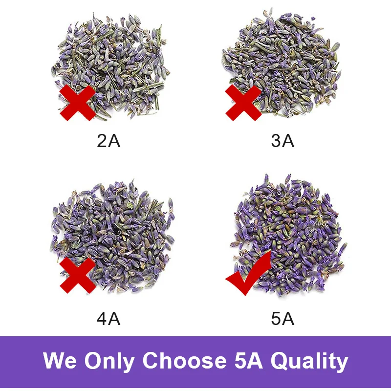 Private Label 50g Tension Relax Lavender Tea Natural Herb Flower Tea Flavored Tea for Sleep