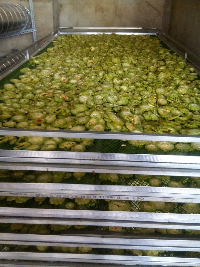 Оптовая продажа сушеная горькая дыня/ломтики Горькая тыква/горькая дыня питание от Viet Nam