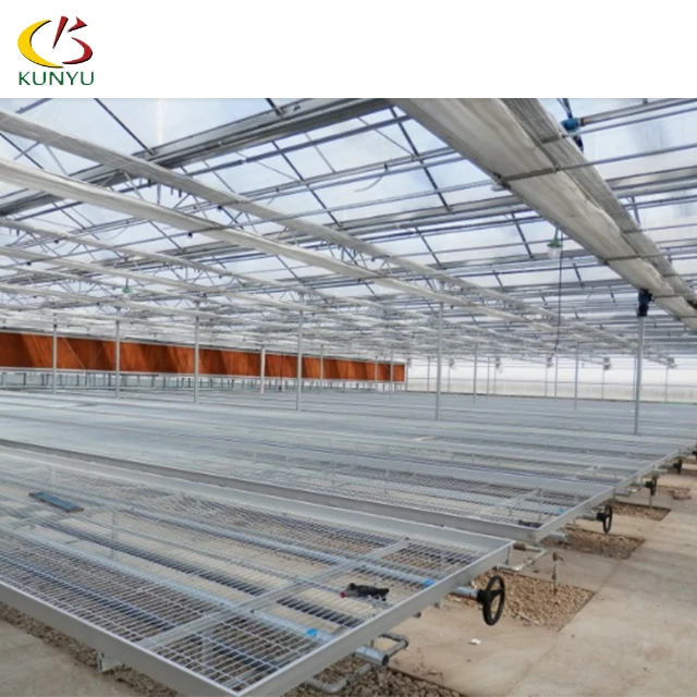Foshan Kunyu High Quality Rolling Nursery Benches Greenhouses For Strawberries