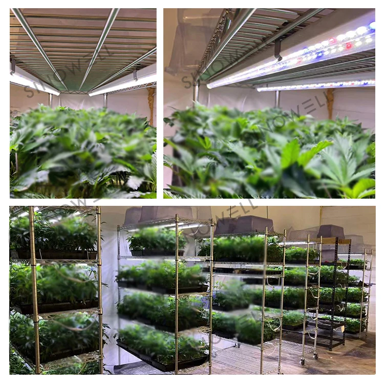 Sinowell Daisy-Chain Clone Led Grow Light 9 Watt 18 Watt for Seedling Cloning