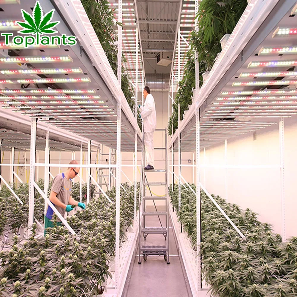 4 Tire 4x8ft Homebase Vertical Grow Rack for American Canada Plants Herbs System