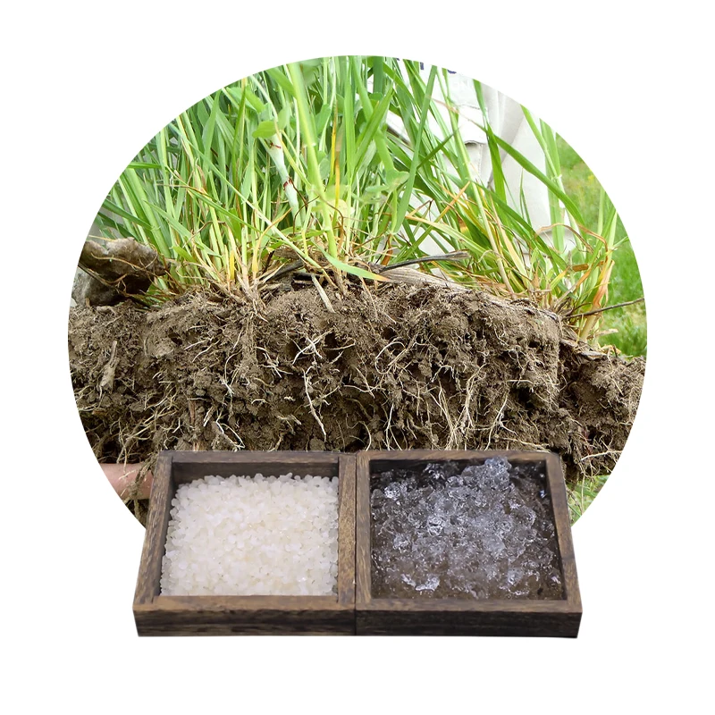 WELLDONE De Potassium Polyacrylate Prix Hydrogel Save Irrigation Manufacturing Potassium Polyacrylate Powder in Bags