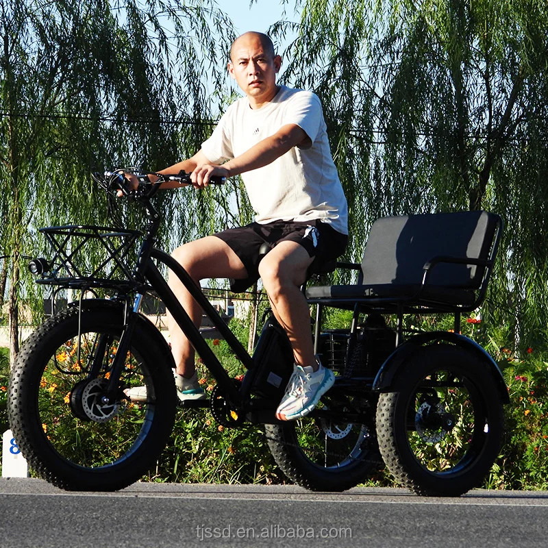 Electric Adult Tricycle Fatbike from China Ebike Max Motorcycle Custom Magnet Body Steel MOTOR Power Bicycle Wheel Brake Cargo