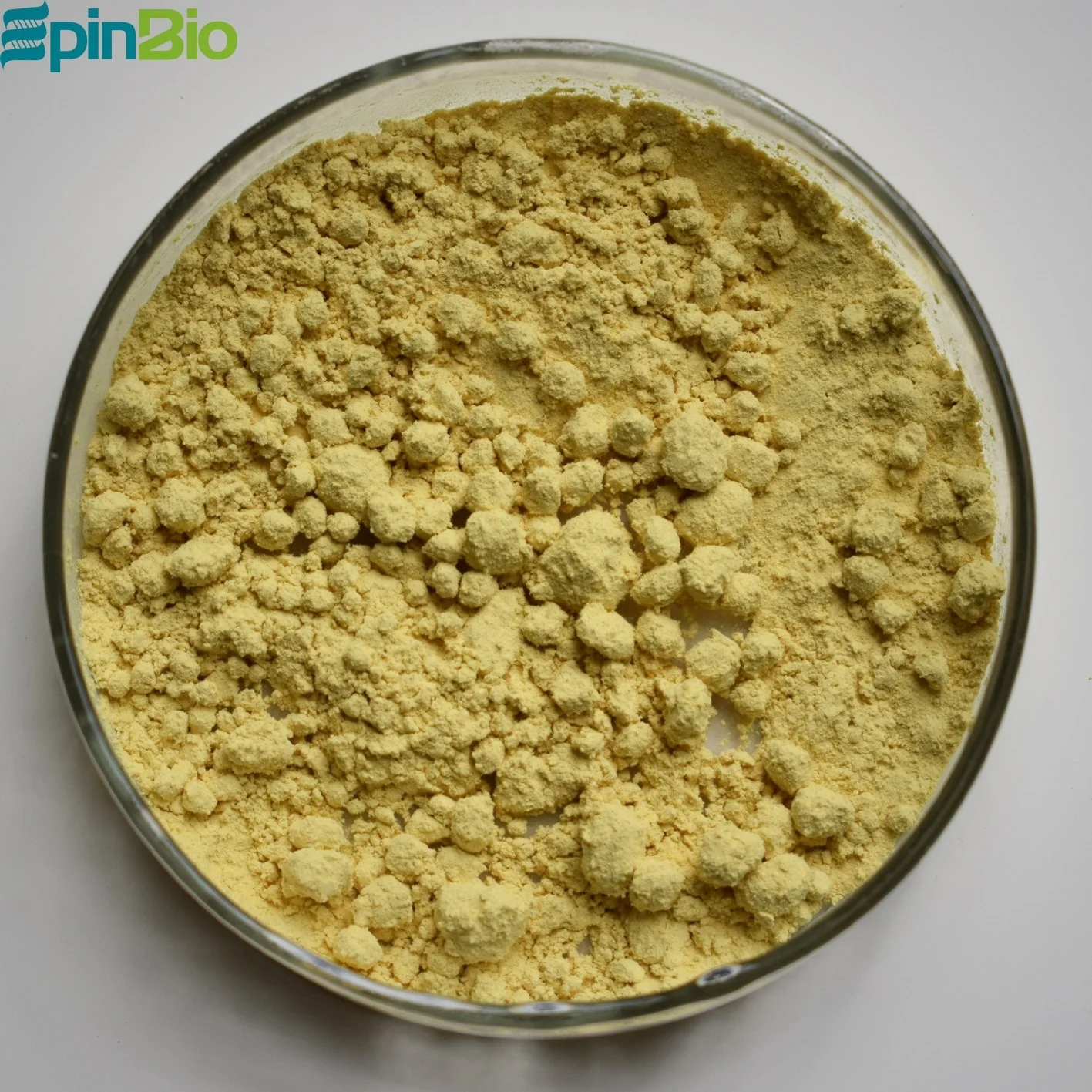 
High Purity Aloe Vera Leaf Extract Aloin 20% 