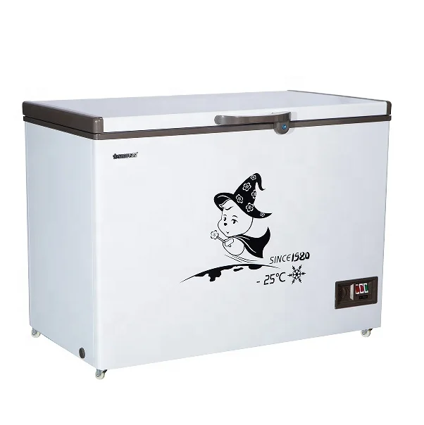 SNOWSEA chest  Freezer 300 liter factory price portable single door small freezer BD-300 commercial refrigerated