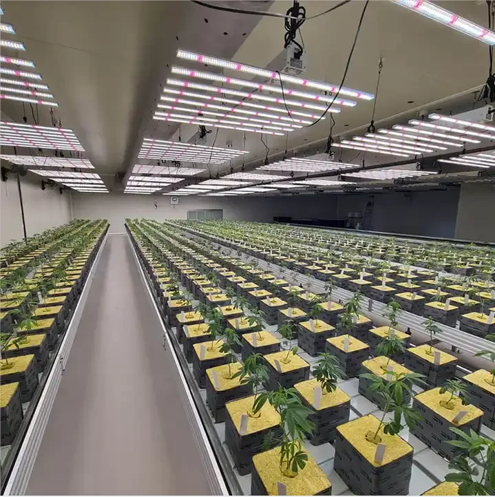 Learnew growing led B3 1000w 1000W led grow light vertical farming plant spider led grow light LED Grow Light