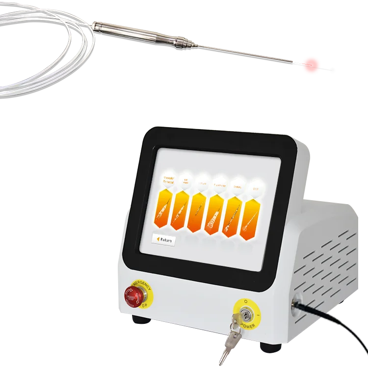 Portable Lipolysis Laser Aesthetic Plastic Laser For Lipolysis And Skin Tightening
