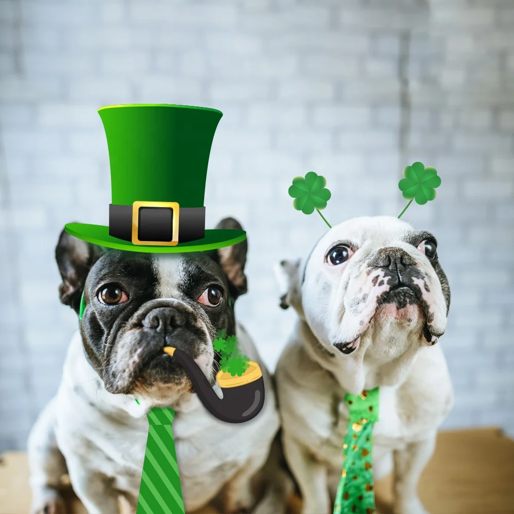 Набор для фотосъемки HUANCAI ко Дню Св. Патрика, комплект реквизита счастливого ирландского шамбола, набор «сделай сам» для украшения ирландской вечеринки