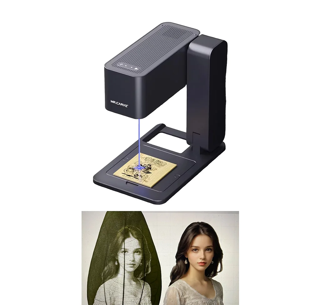 5W Laser Engraving Leaf Laser Leaf Face Engraving and Printing Machine on Leaves