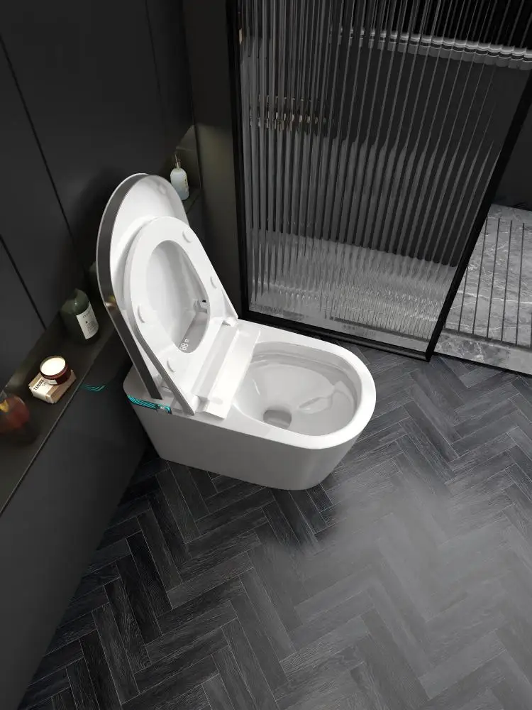 New Arrival Buttocks Washing toilet smart